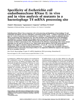 Specificity of Escherichia Coli Endoribonuclease Rnase E: in Vivo and in Vitro Analysis of Mutants in a Bacteriophage T4 Mrna Processing Site