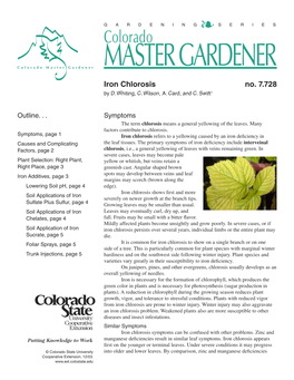 Colorado MASTER GARDENER Iron Chlorosis No