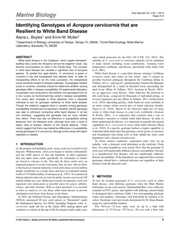 Identifying Genotypes of Acropora Cervicornis That Are Resilient to White Band Disease Alana L