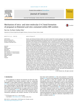 Mechanism of Intra- and Inter-Molecular CC Bond Formation