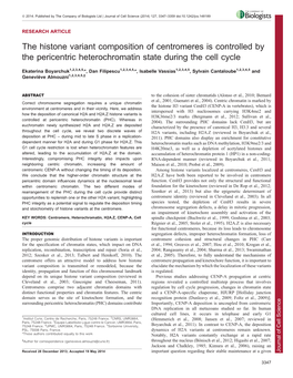 The Histone Variant Composition of Centromeres Is Controlled by The