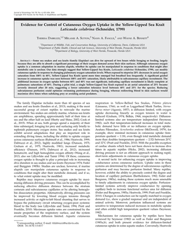 Evidence for Control of Cutaneous Oxygen Uptake in the Yellow-Lipped Sea Krait Laticauda Colubrina (Schneider, 1799)