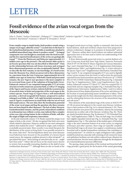 Fossil Evidence of the Avian Vocal Organ from the Mesozoic (PDF)