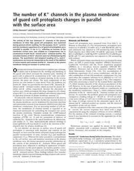 The Number of K Channels in the Plasma Membrane of Guard Cell Protoplasts Changes in Parallel with the Surface Area