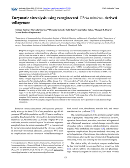 Enzymatic Vitreolysis Using Reengineered Vibrio Mimicus–Derived Collagenase