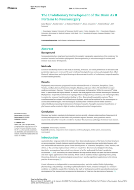 The Evolutionary Development of the Brain As It Pertains to Neurosurgery