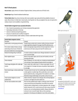 Marsh Tit (Poecile Palustris) Potential Habitat Management Issues