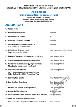 Shared Agenda Group Committees in Common (Cic)