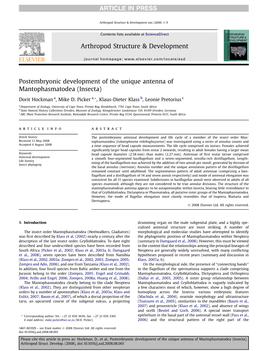 Postembryonic Development of the Unique Antenna of Mantophasmatodea (Insecta)