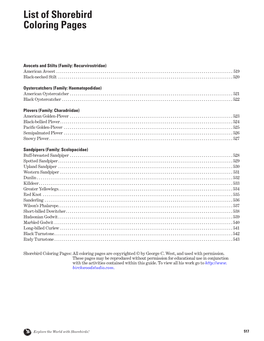 Shorebird Coloring Pages