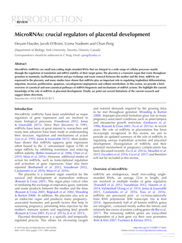 Micrornas: Crucial Regulators of Placental Development