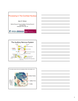 Processing in the Cochlear Nucleus