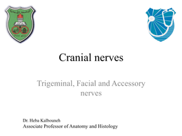 Cranial Nerves