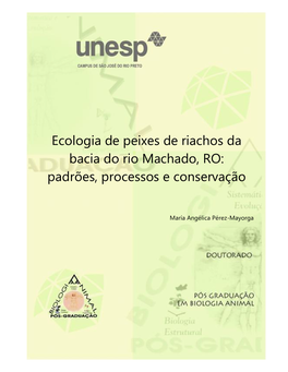Ecologia De Peixes De Riachos Da Bacia Do Rio Machado, RO: Padrões, Processos E Conservação