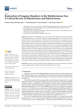 Restoration of Seagrass Meadows in the Mediterranean Sea: a Critical Review of Effectiveness and Ethical Issues