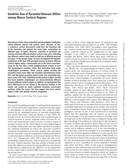 Dendritic Size of Pyramidal Neurons Differs Among Mouse Cortical