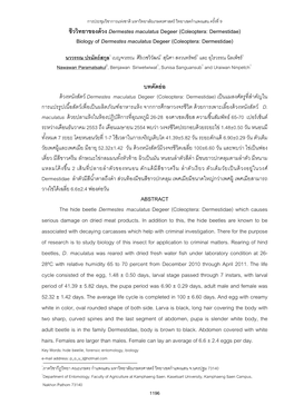 ชีววิทยาของด้วง Dermestes Maculatus Degeer (Coleoptera: Dermestidae) Biology of Dermestes Maculatus Degeer (Coleoptera: Dermestidae)