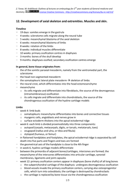 12. Development of Axial Skeleton and Extremities. Muscles and Skin