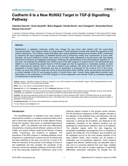 Cadherin 6 Is a New RUNX2 Target in TGF-Β Signalling Pathway