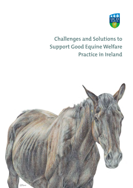 Challenges and Solutions to Support Good Equine Welfare Practice in Ireland Challenges and Solutions to Support Good Equine Welfare Practice in Ireland