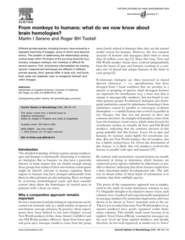 From Monkeys to Humans: What Do We Now Know About Brain Homologies? Martin I Sereno and Roger BH Tootell