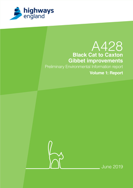 Black Cat to Caxton Gibbet Improvements Preliminary Environmental Information Report Volume 1: Report