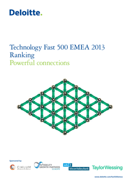 Technology Fast 500 EMEA 2013 Ranking Powerful Connections