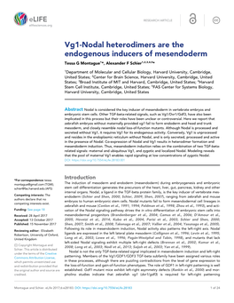 Vg1-Nodal Heterodimers Are the Endogenous Inducers of Mesendoderm Tessa G Montague1*, Alexander F Schier1,2,3,4,5*