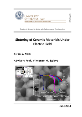 Sintering of Ceramic Materials Under Electric Field