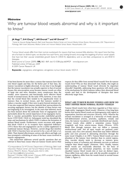 Why Are Tumour Blood Vessels Abnormal and Why Is It Important to Know?
