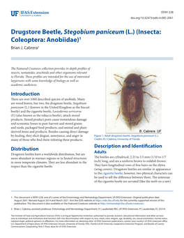 Drugstore Beetle, Stegobium Paniceum (L.) (Insecta: Coleoptera: Anobiidae)1 Brian J