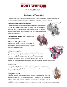 The Method of Plastination