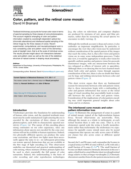 Color, Pattern, and the Retinal Cone Mosaic