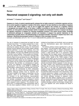 Neuronal Caspase-3 Signaling: Not Only Cell Death