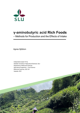 Γ-Aminobutyric Acid Rich Foods – Methods for Production and the Effects of Intake