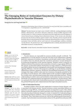 The Emerging Roles of Antioxidant Enzymes by Dietary Phytochemicals in Vascular Diseases