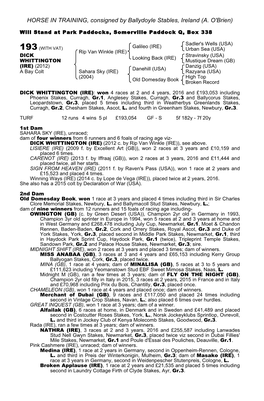 HORSE in TRAINING, Consigned by Ballydoyle Stables, Ireland (A