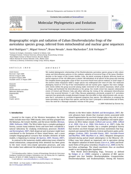 Biogeographic Origin and Radiation of Cuban Eleutherodactylus Frogs of the Auriculatus Species Group, Inferred from Mitochondrial and Nuclear Gene Sequences