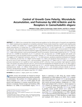 Control of Growth Cone Polarity, Microtubule Accumulation, and Protrusion by UNC-6/Netrin and Its Receptors in Caenorhabditis Elegans