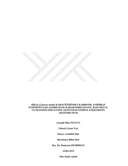Karaciğerinden Karbonik Anhidraz Enziminin Saflaştirilmasi, Karakterizasyonu, Bazi Metal Ve Pestisitlerin Enzim Aktivitesi Üzerine Etkilerinin Araştirilmasi
