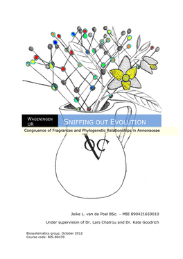 Sniffing out Evolution