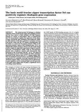 The Basic Motif-Leucine Zipper Transcription Factor Nrl Can