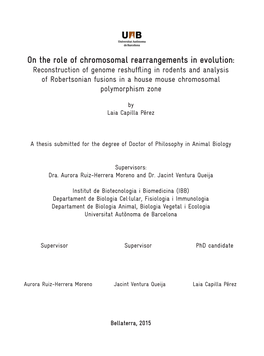 On the Role of Chromosomal Rearrangements in Evolution