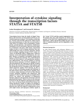 Interpretation of Cytokine Signaling Through the Transcription Factors STAT5A and STAT5B