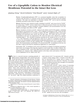 Use of a Lipophilic Cation to Monitor Electrical Membrane Potential in the Intact Rat Lens