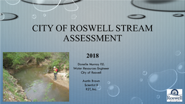 City of Roswell Stream Assessment