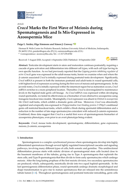 Cracd Marks the First Wave of Meiosis During Spermatogenesis and Is Mis-Expressed in Azoospermia Mice