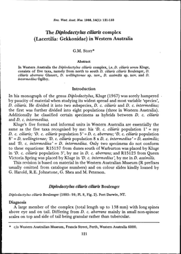 The Diplodactylus Ciliaris Complex (Lacertilia: Gekkonidae) in Western Australia