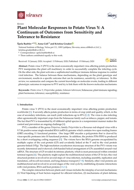 Plant Molecular Responses to Potato Virus Y: a Continuum of Outcomes from Sensitivity and Tolerance to Resistance