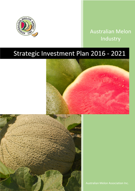 Strategic Investment Plan 2016 - 2021